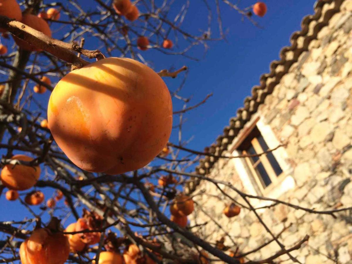 Masia De Vallforners Tagamanent Экстерьер фото