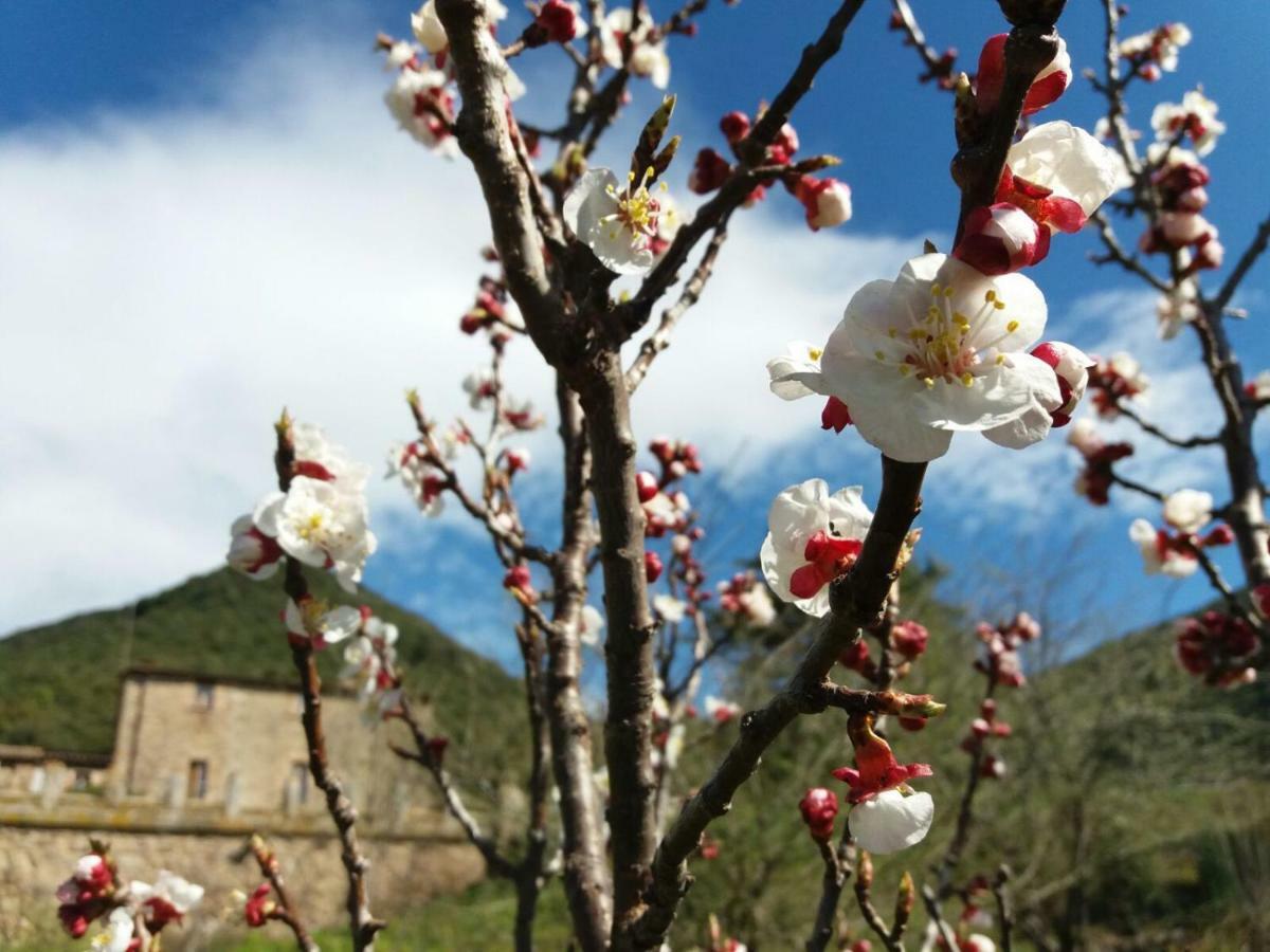 Masia De Vallforners Tagamanent Экстерьер фото